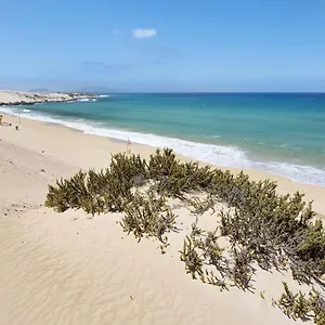 https://apartamento-betty-c.hotelsfuerteventura.org
